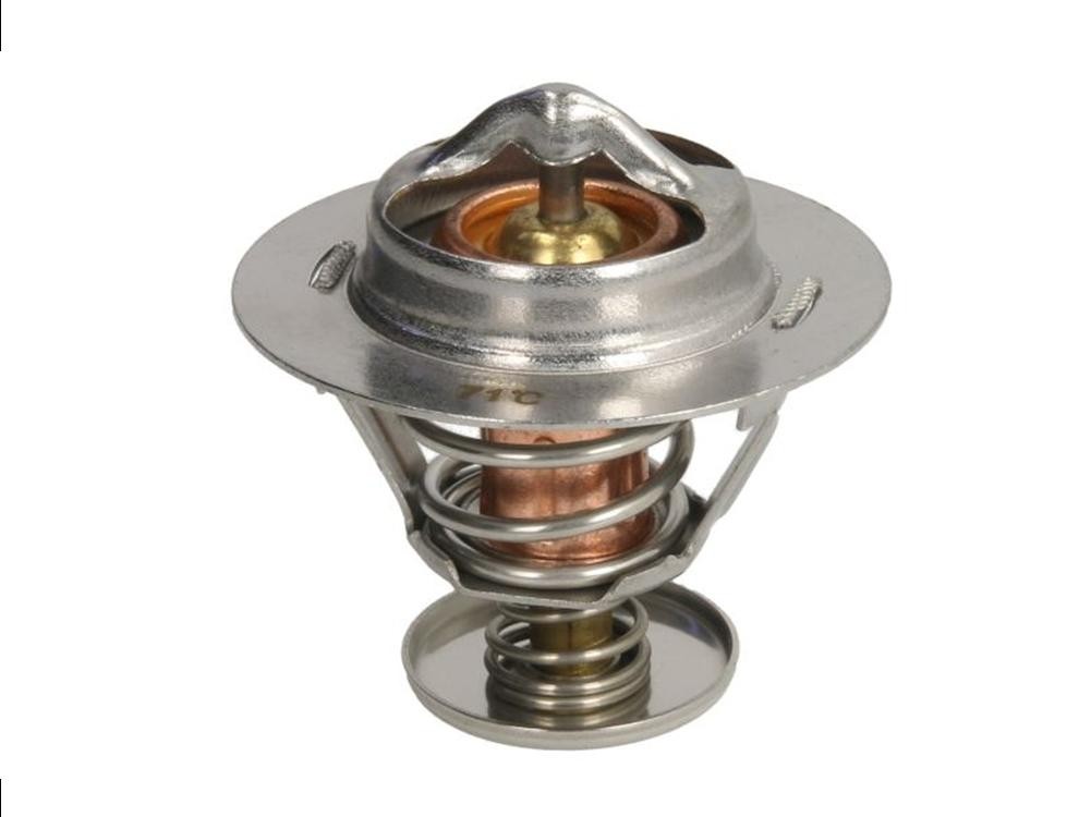 termostat termotec Yanmar